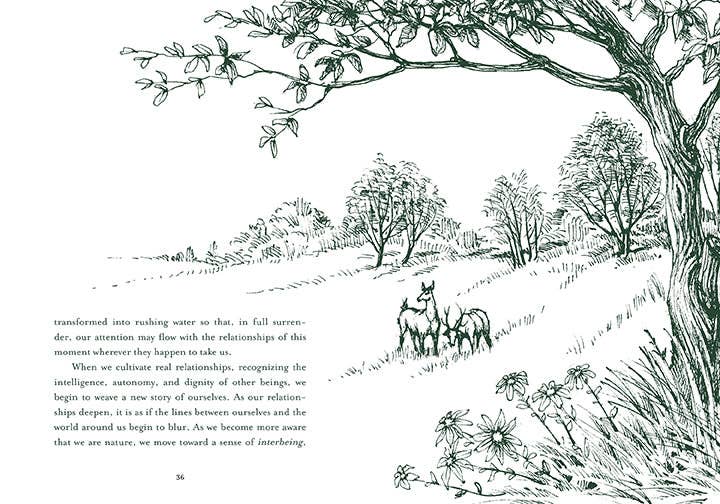 Healing Trees – Mindful Walks for Peace, Presence, and Well-Being