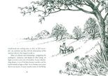 Healing Trees – Mindful Walks for Peace, Presence, and Well-Being