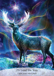 Sacred Spirit Oracle by Anna Stark: Flashcards; 96 pages / English