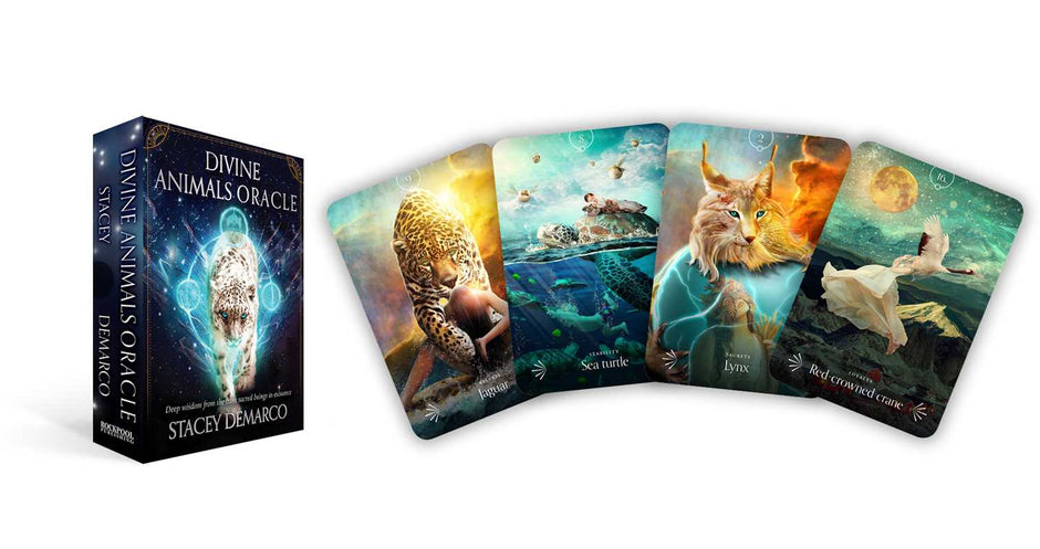 Divine Animals Oracle by Stacey Demarco – 180 Pages (English)