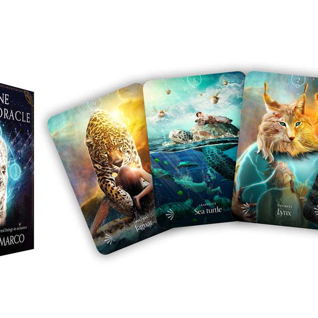 Divine Animals Oracle by Stacey Demarco – 180 Pages (English)