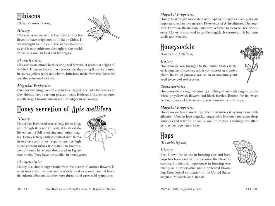 Modern Witchcraft Guide to Magickal Herbs (Hardcover) by Judy Ann Nock – 240 Pages (English)