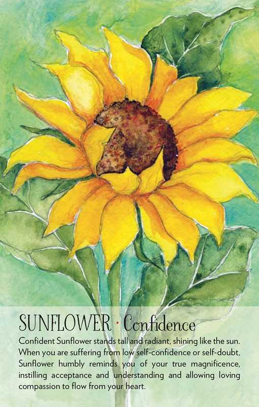 Soulflower Plant Spirit Oracle by Lisa Estabrook – 176 Pages (English)