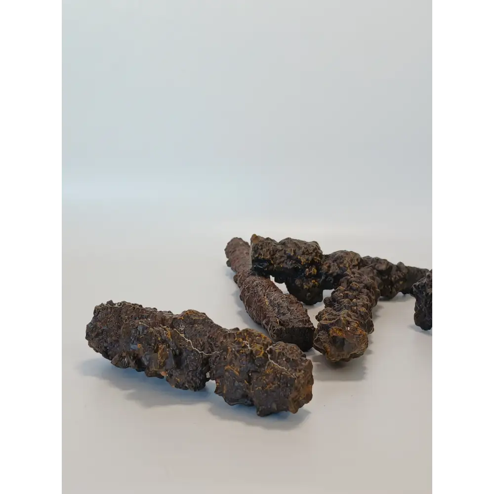 🔮✨ Egyptian Prophecy Stone – Transformation and Insight ✨🔮 - Cylindrical - Specimens