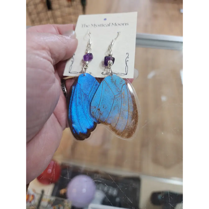 🦋✨ Ethically Sourced Butterfly Wing Earrings – Nature’s Beauty Spirit’s Freedom! 🌿 - Jewelry