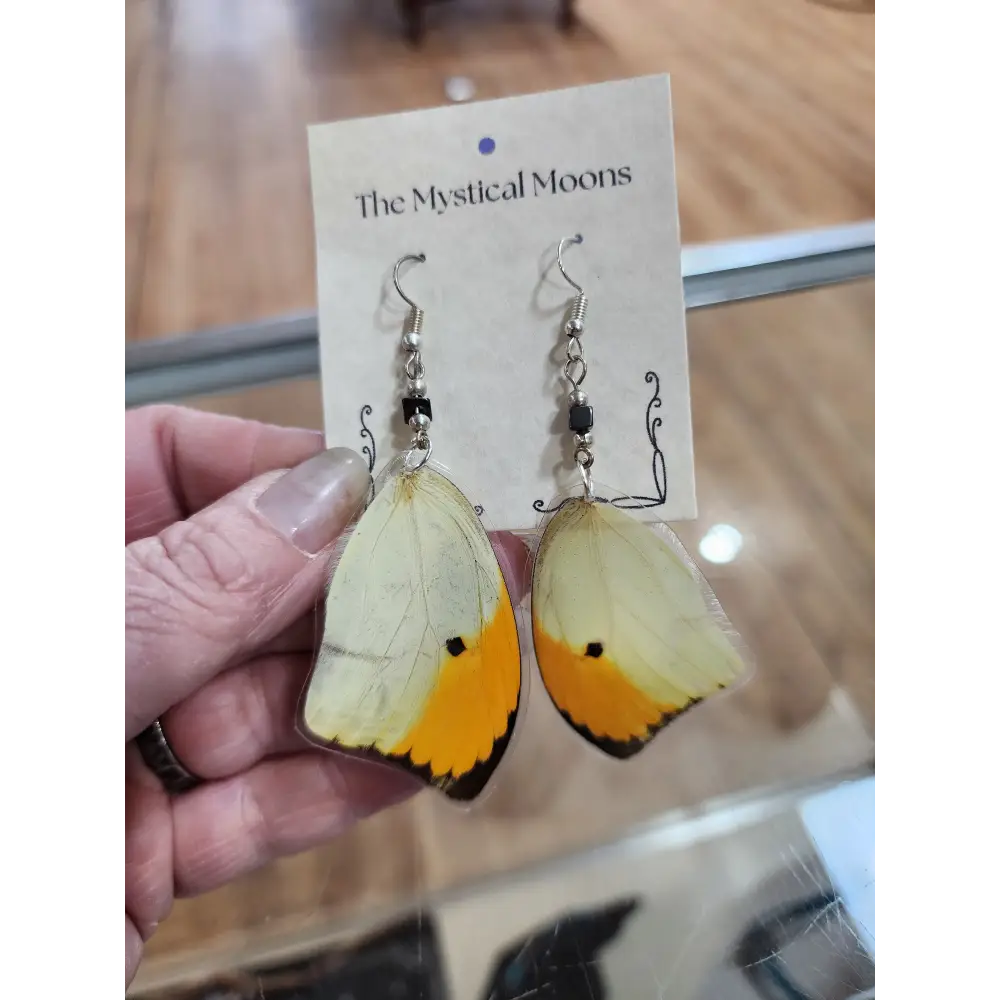 🦋✨ Ethically Sourced Butterfly Wing Earrings – Nature’s Beauty Spirit’s Freedom! 🌿 - Jewelry