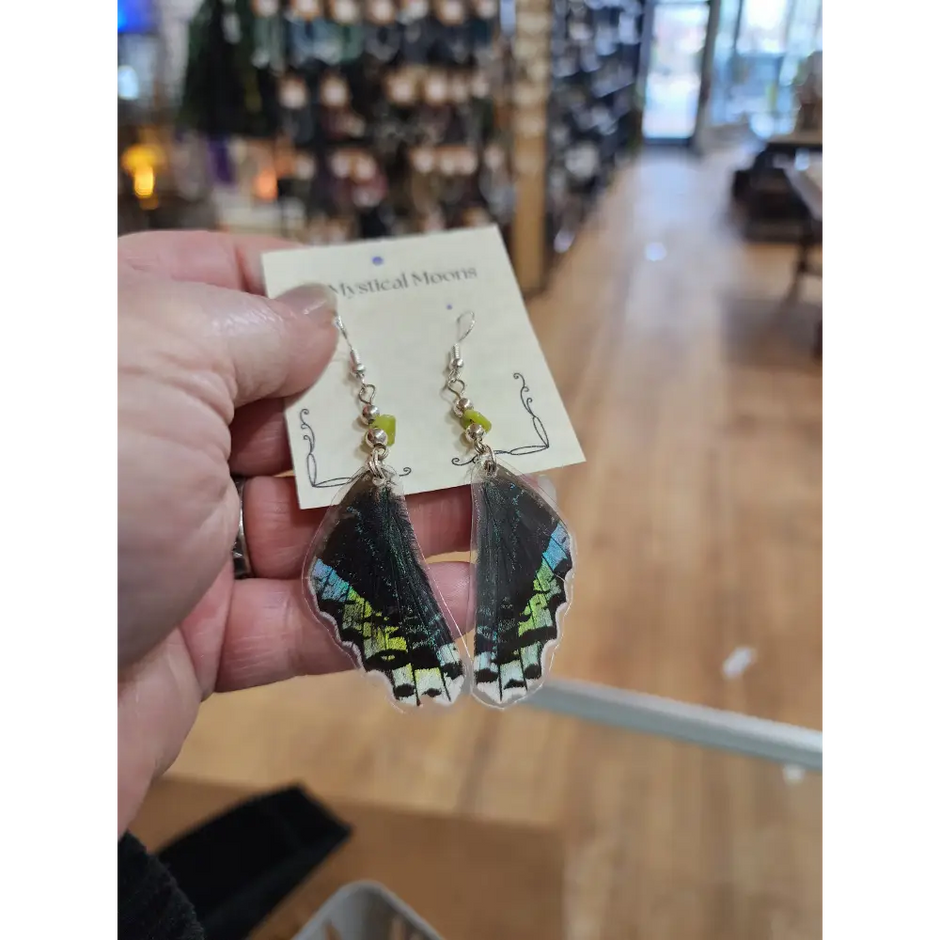 🦋✨ Ethically Sourced Butterfly Wing Earrings – Nature’s Beauty Spirit’s Freedom! 🌿 - Jewelry