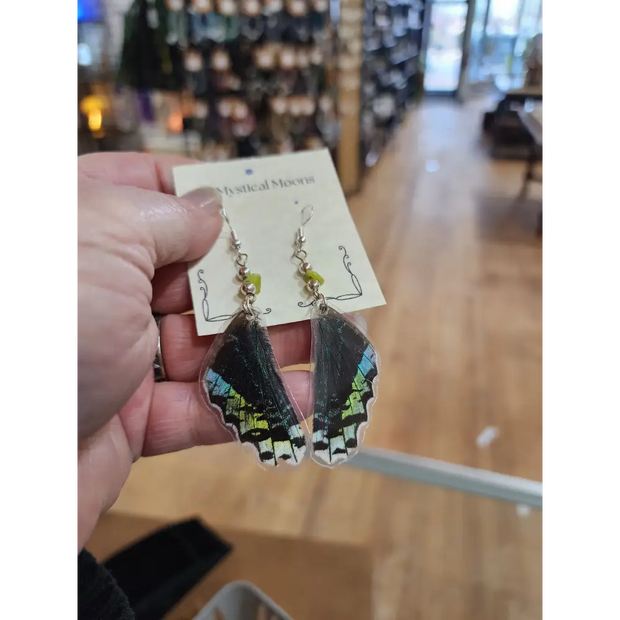 🦋✨ Ethically Sourced Butterfly Wing Earrings – Nature’s Beauty Spirit’s Freedom! 🌿 - Jewelry