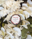 Natural Lip Balm: Sweet Orange – Botanical Lip Care .5oz Tin
