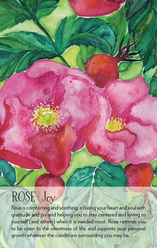 Soulflower Plant Spirit Oracle by Lisa Estabrook – 176 Pages (English)