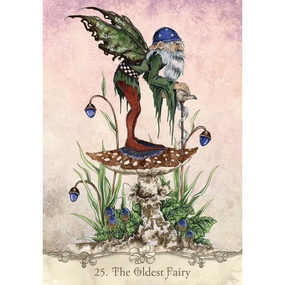 Fairy Wisdom Oracle Deck and Book Set - Tarot Decks & Divination