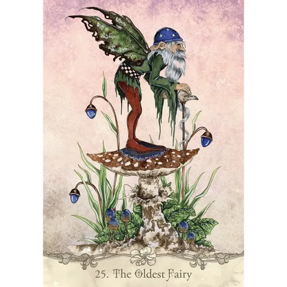 Fairy Wisdom Oracle Deck and Book Set - Tarot Decks & Divination