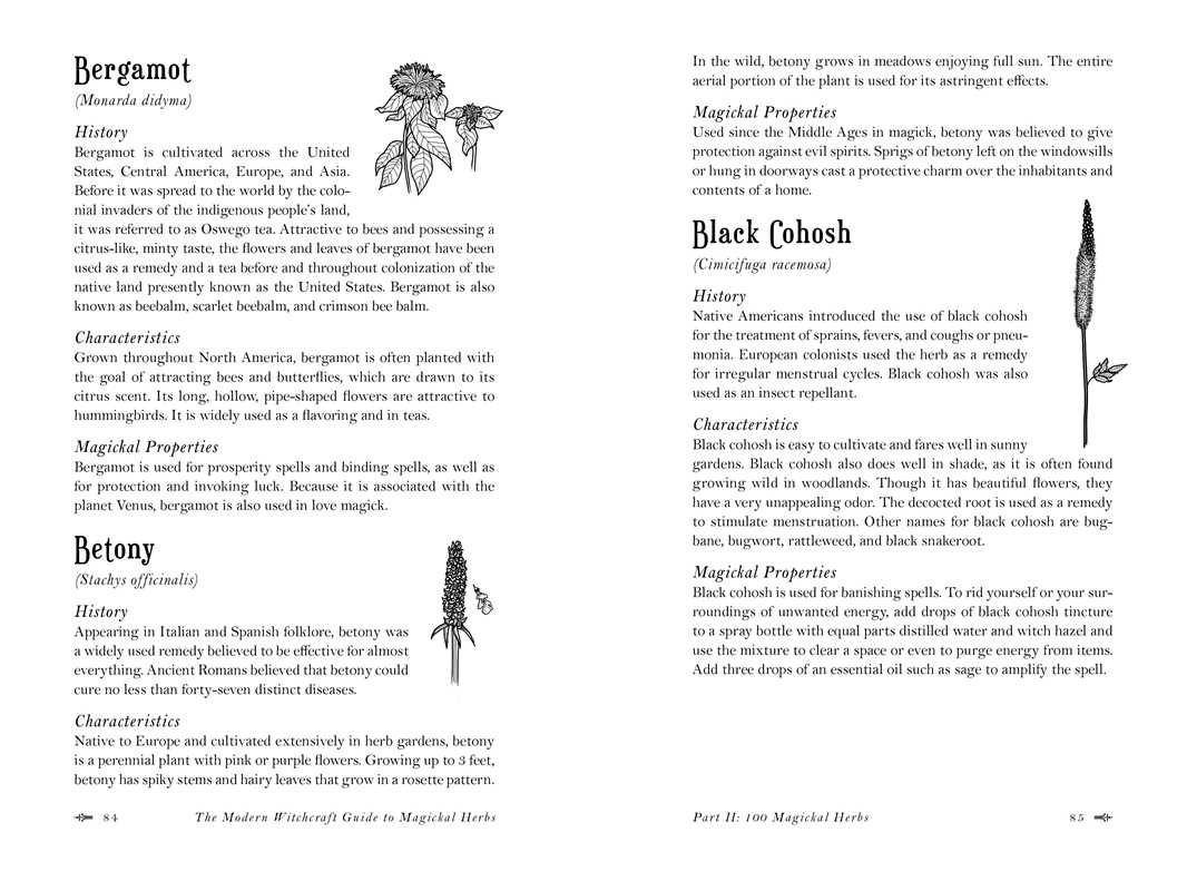 Modern Witchcraft Guide to Magickal Herbs (Hardcover) by Judy Ann Nock – 240 Pages (English)