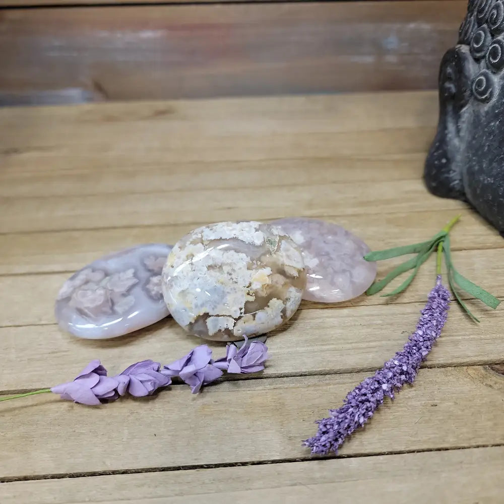 Flower Agate Palm - 1. Oval Palms - PALM