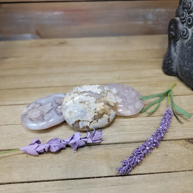 Flower Agate Palm - 1. Oval Palms - PALM