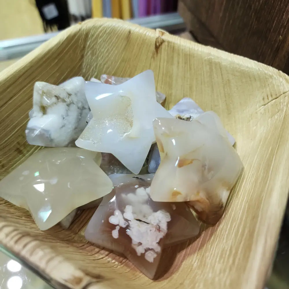 Flower Agate Palm - 4. Star Palms - PALM