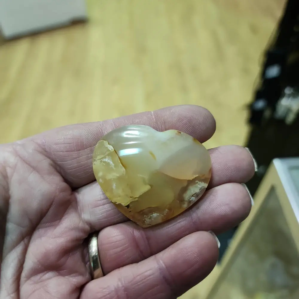 Flower Agate Palm - 5. Heart Palm - PALM