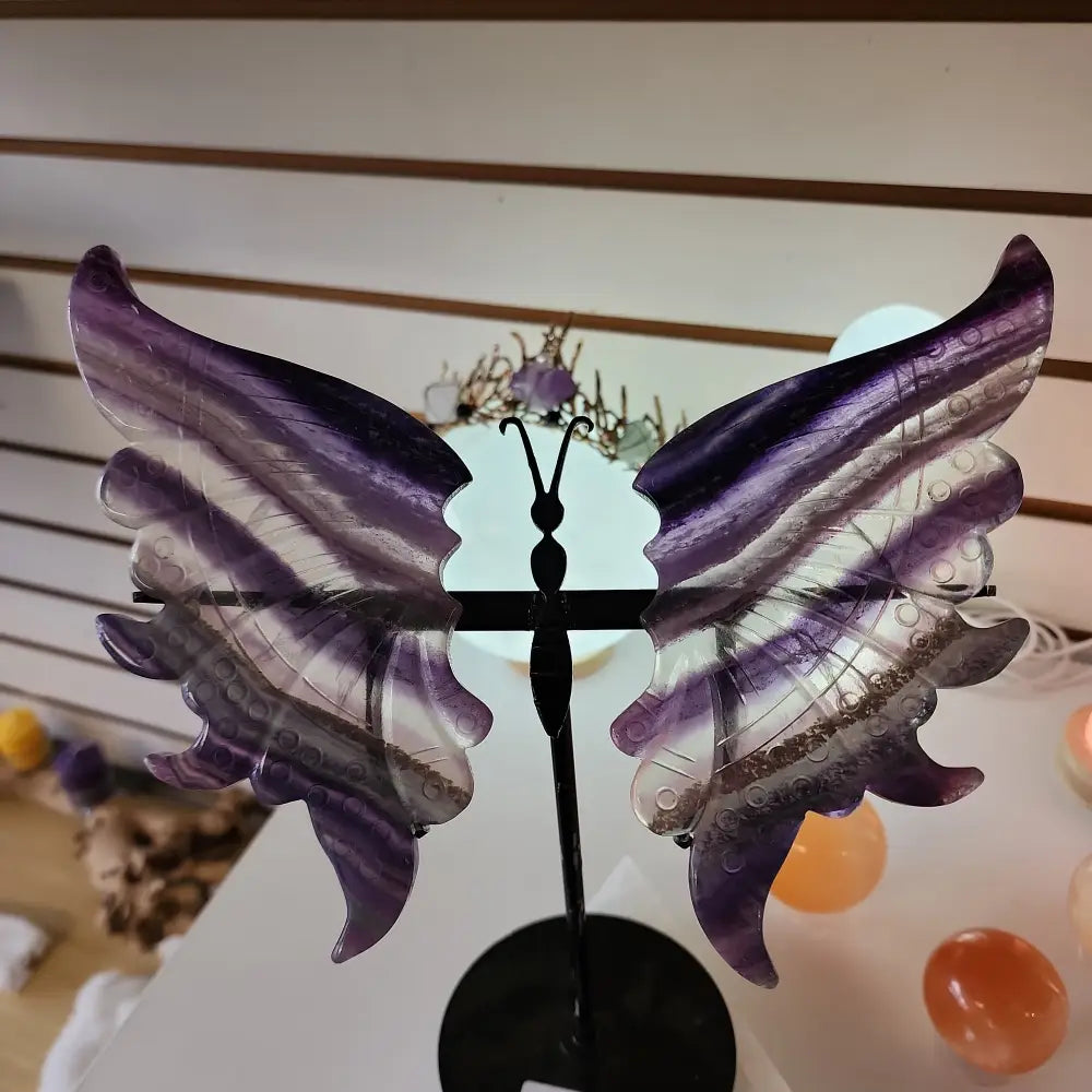 Fluorite Butterfly Slabs on Stand - Carvings