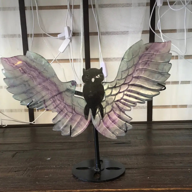 🦉💎 Fluorite Owl with Stand – Wisdom Clarity and Majestic Energy! ✨ - Fluorite Owl w/ Stand- BIG - Carvings