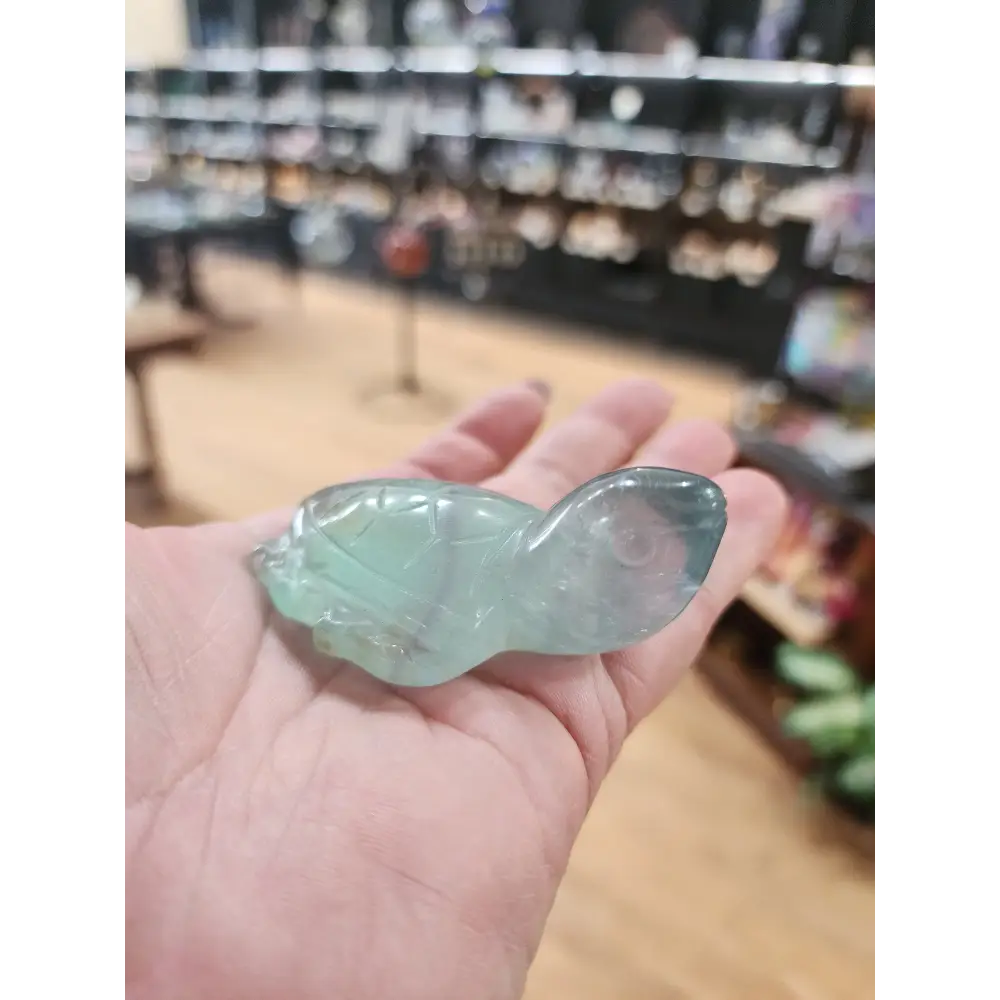 🐢 Fluorite Turtle Carvings 🐢 - Small