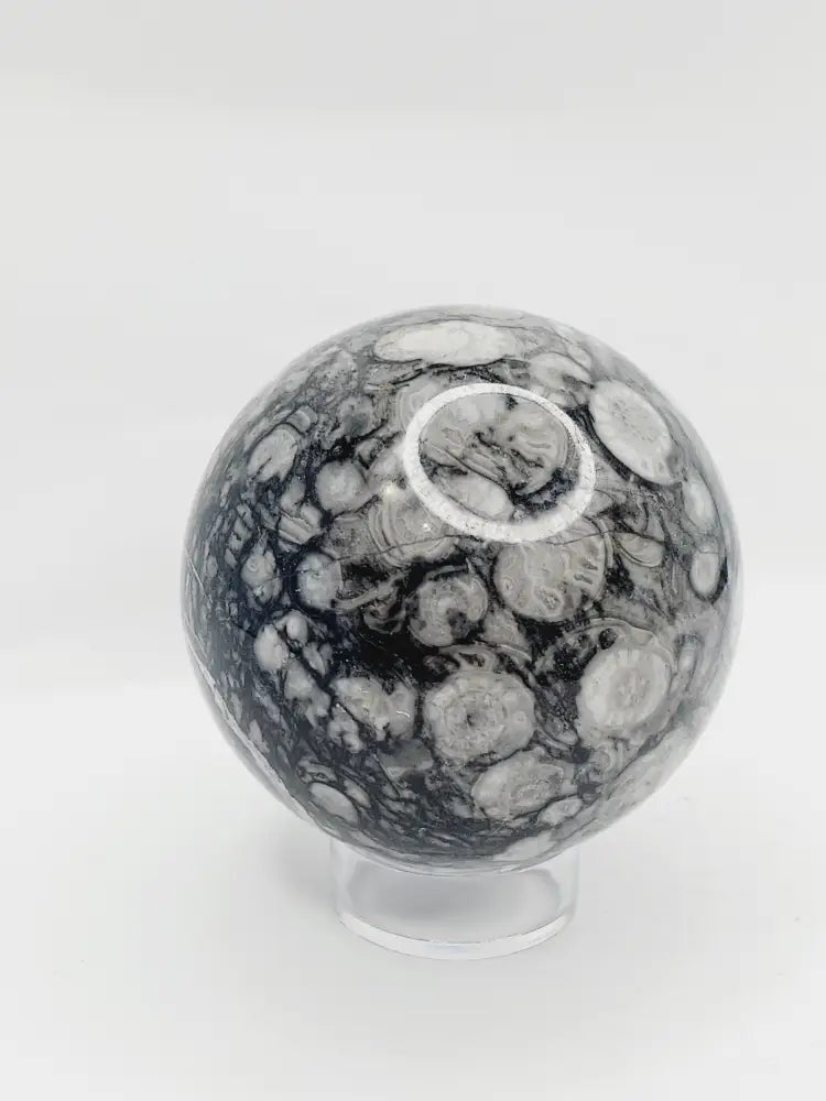 🌿🦴 Fossil Agate Sphere (2.5’’–3’’) – Ancient Wisdom Grounding Energy and Natural Beauty! ✨ - 1