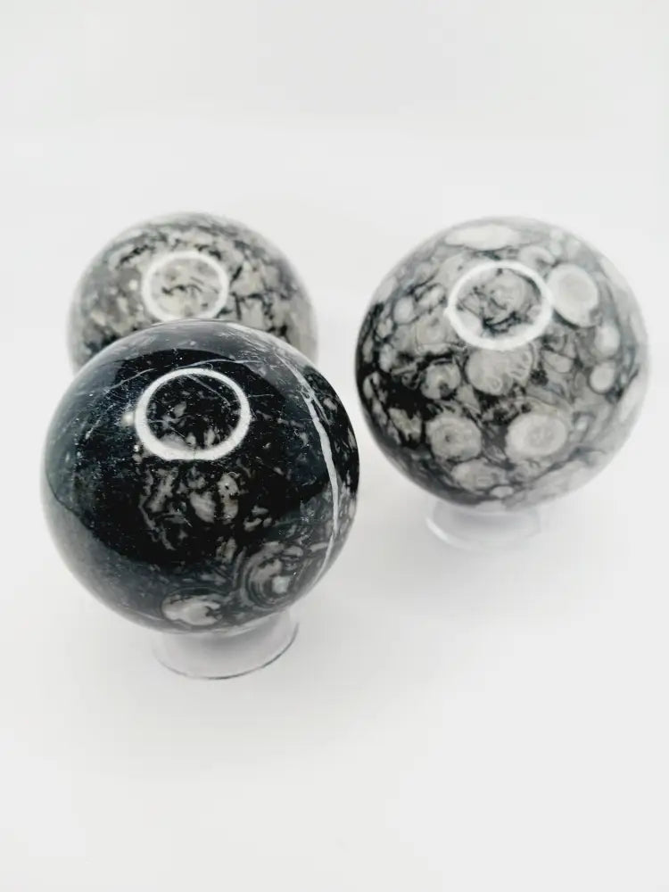 🌿🦴 Fossil Agate Sphere (2.5’’–3’’) – Ancient Wisdom Grounding Energy and Natural Beauty! ✨