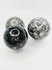 🌿🦴 Fossil Agate Sphere (2.5’’–3’’) – Ancient Wisdom Grounding Energy and Natural Beauty! ✨