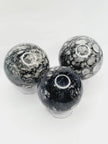 🌿🦴 Fossil Agate Sphere (2.5’’–3’’) – Ancient Wisdom Grounding Energy and Natural Beauty! ✨