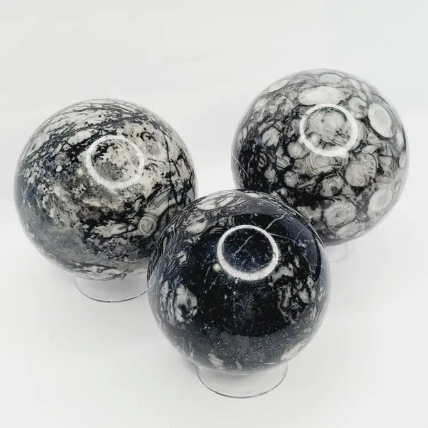 🌿🦴 Fossil Agate Sphere (2.5’’–3’’) – Ancient Wisdom Grounding Energy and Natural Beauty! ✨