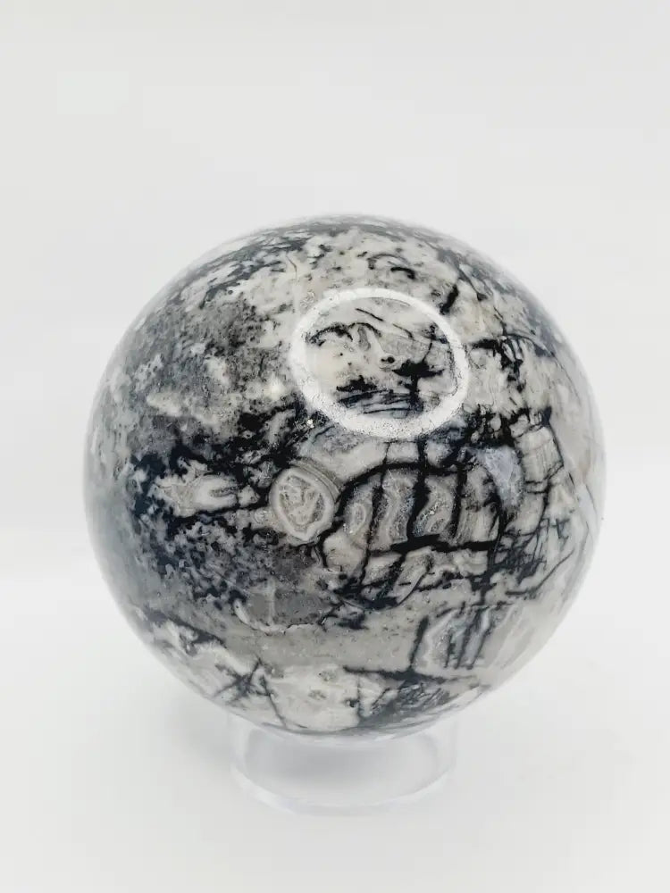 🌿🦴 Fossil Agate Sphere (2.5’’–3’’) – Ancient Wisdom Grounding Energy and Natural Beauty! ✨ - 2