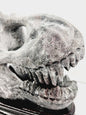 🦖❤️ Garnet Dinosaur Skull on Wood Stand – Ancient Power and Vitality ✨ - Carvings
