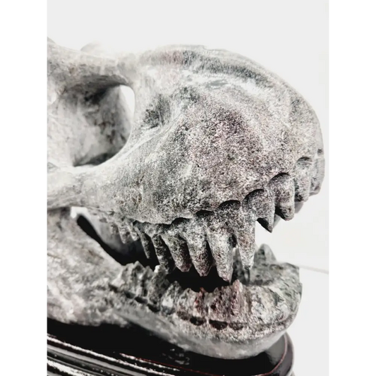 🦖❤️ Garnet Dinosaur Skull on Wood Stand – Ancient Power and Vitality ✨ - Carvings