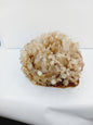 Gorgeous Quartz Cluster Specimen - Specimens