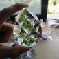 Gorgeous Window Suncatchers: Capture the Rainbows - 76mm Teardrop - Home Decor