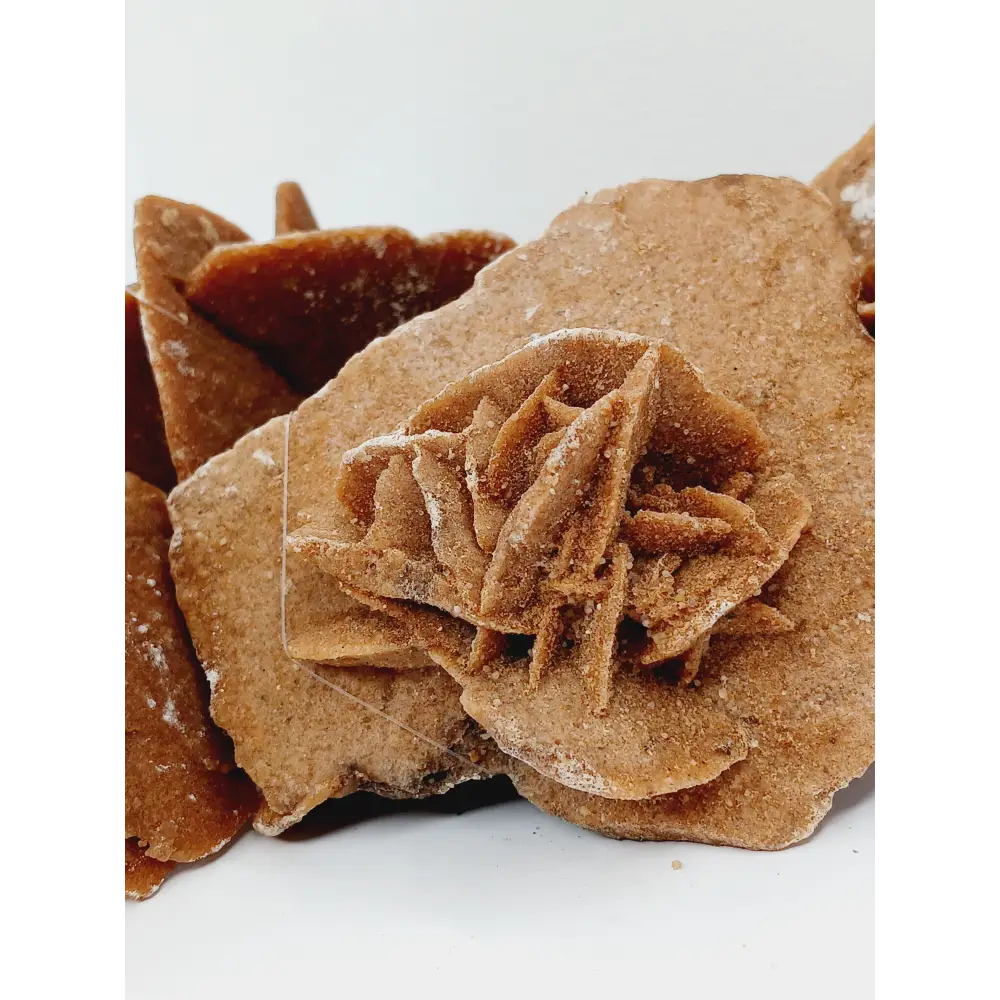 🏜️✨HUGE Desert Rose Specimen – Clarity Confidence and Spiritual Growth 🌟 - Specimens