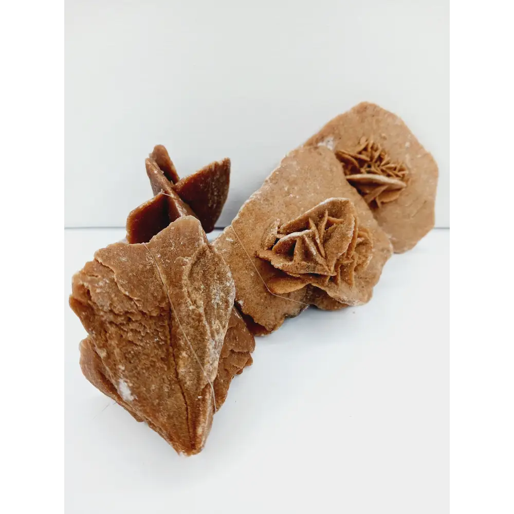 🏜️✨HUGE Desert Rose Specimen – Clarity Confidence and Spiritual Growth 🌟 - Specimens