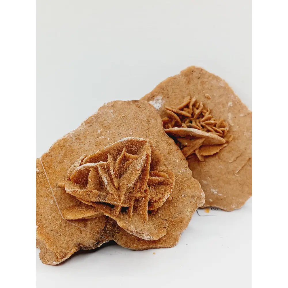 🏜️✨HUGE Desert Rose Specimen – Clarity Confidence and Spiritual Growth 🌟 - 02. Medium - Specimens
