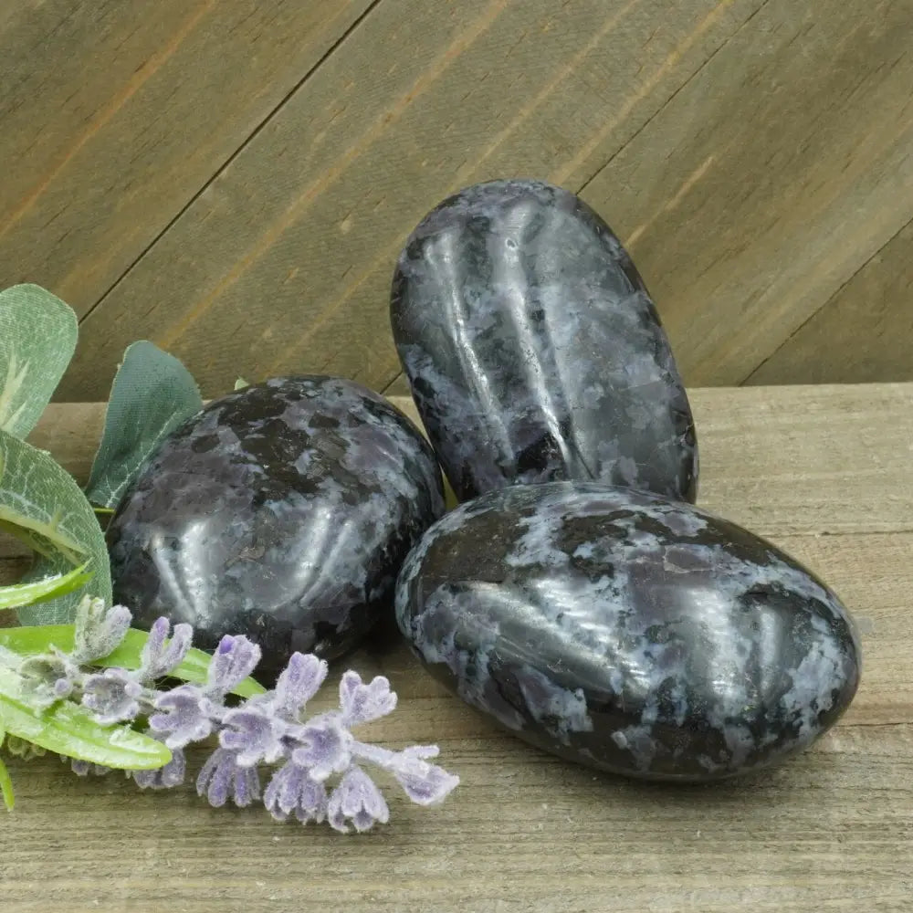INDIGO GABBRO - PALMS - Medium - PALM