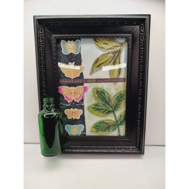 🖤🌱 Inspiring Propagation Frame with Bottle – Growth Positivity and Daily Motivation ✨ - Dreams Don’t Work Unless