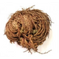Jericho Flower Plant - Herbs & Accessories