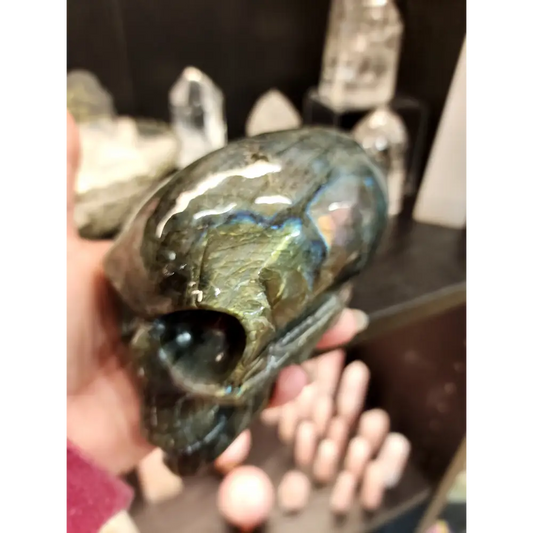 👽💜 Labradorite Alien Skull with Purple Flash – 7’’ Long 4’’ Tall – Cosmic Mystique & Intuitive Power! 🌌 - Carvings