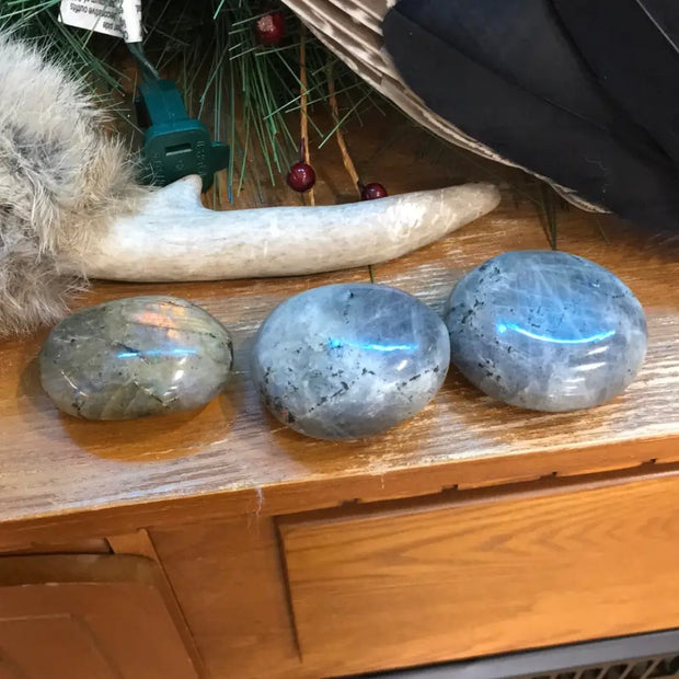 Laboradorite Palms- IP - PALM