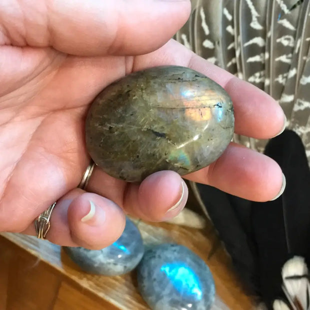 Laboradorite Palms- IP - PALM