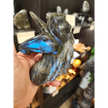 Laboradite Unicorn - Carvings