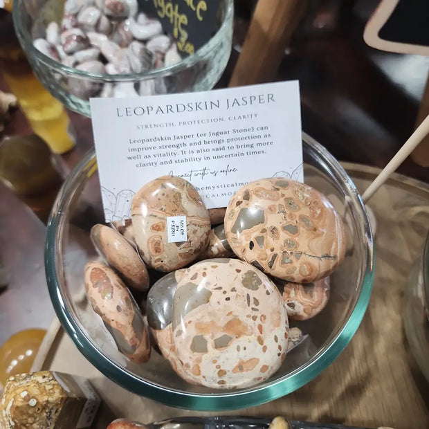 Leopard Jasper Palms - PALM