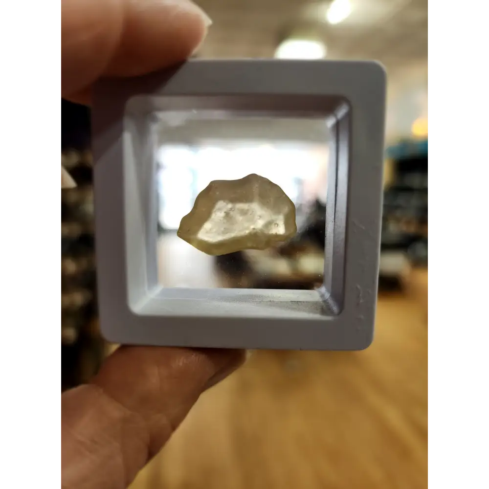🌌 Libyan Desert Glass Specimens ✨ - 8 - Specimens