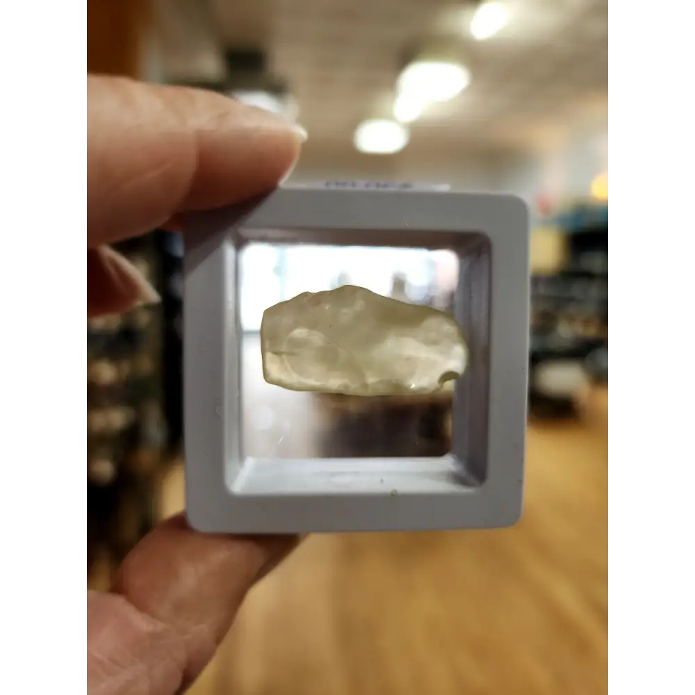 🌌 Libyan Desert Glass Specimens ✨ - 6 - Specimens
