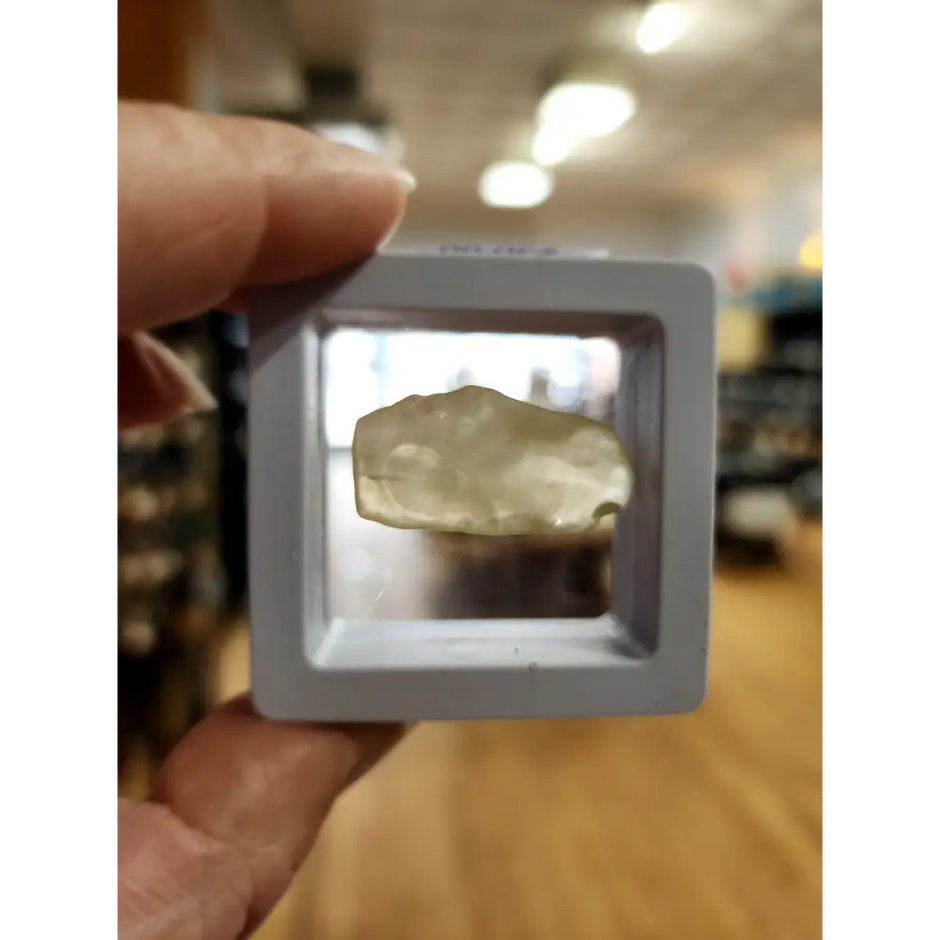 🌌 Libyan Desert Glass Specimens ✨ - 6 - Specimens