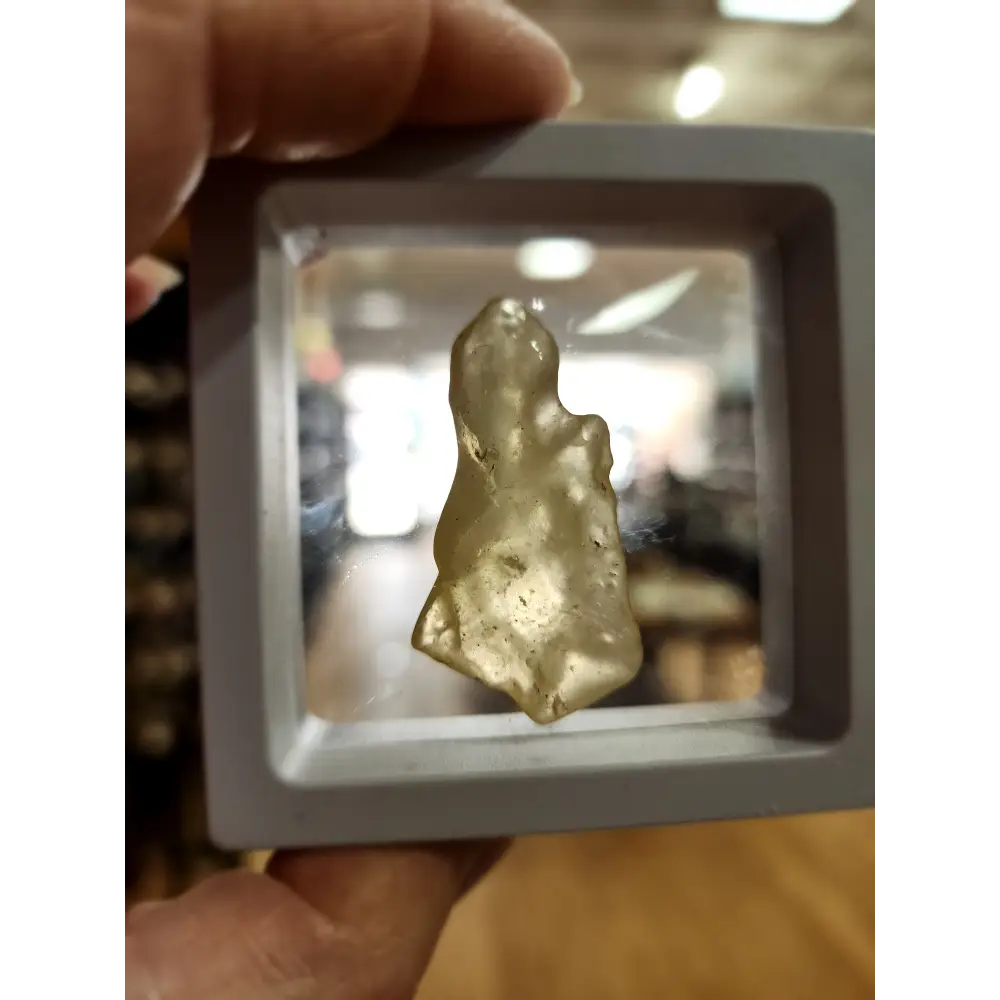 🌌 Libyan Desert Glass Specimens ✨ - 14 - Specimens