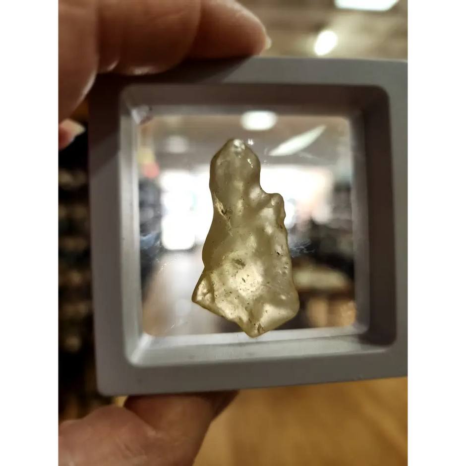 🌌 Libyan Desert Glass Specimens ✨ - 14 - Specimens